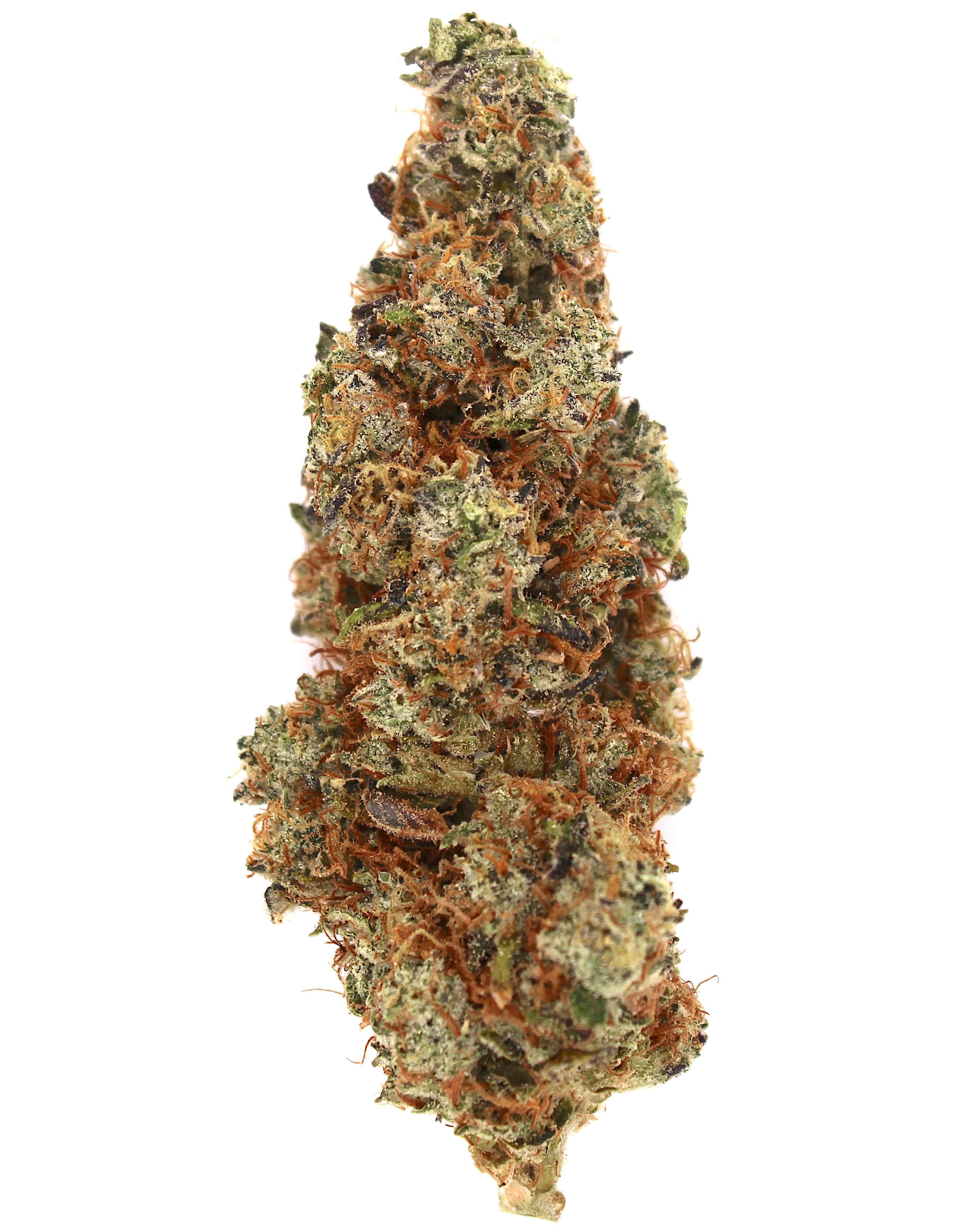 Indoor Flower — Butter Face