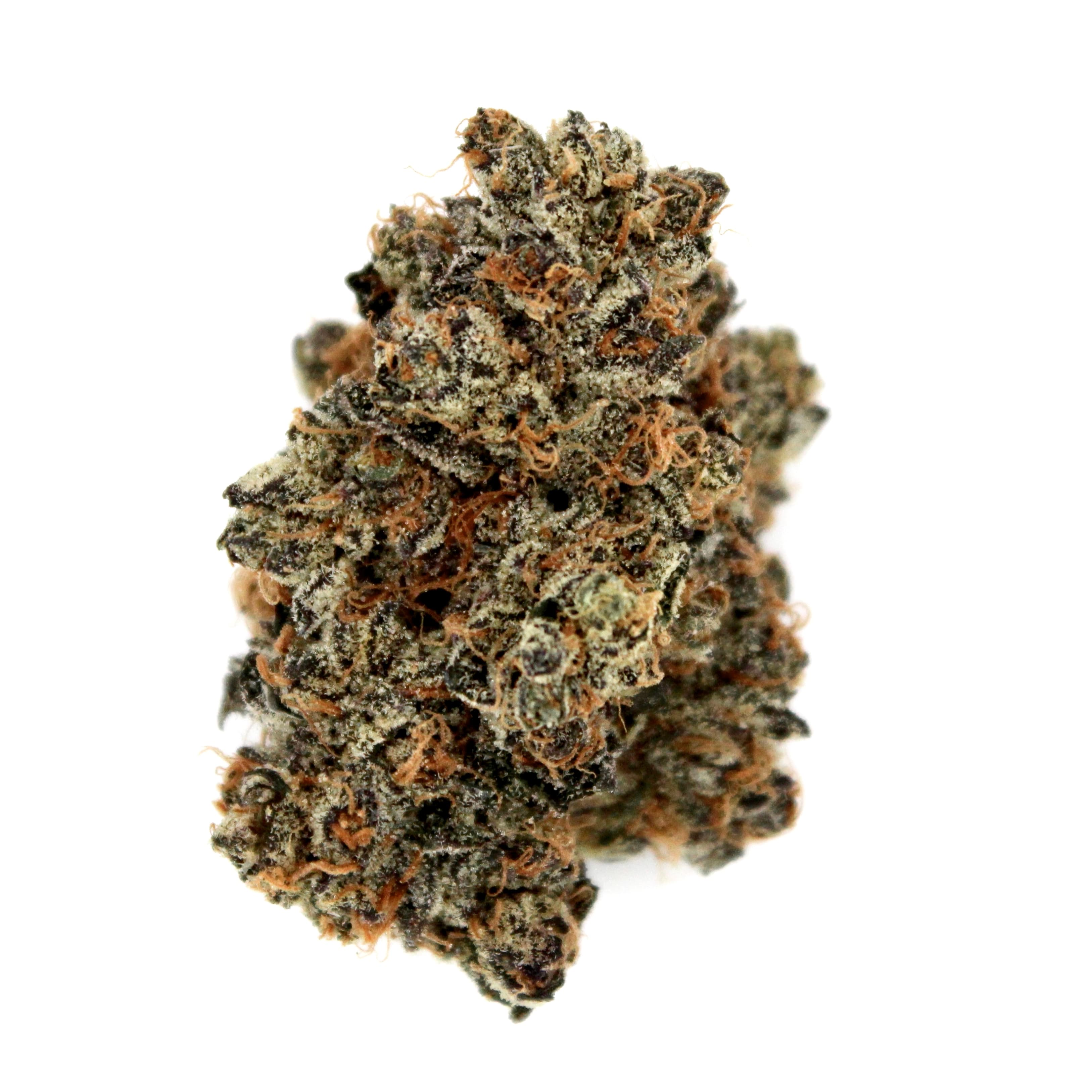 Indoor Flower — Ice Cream Cake