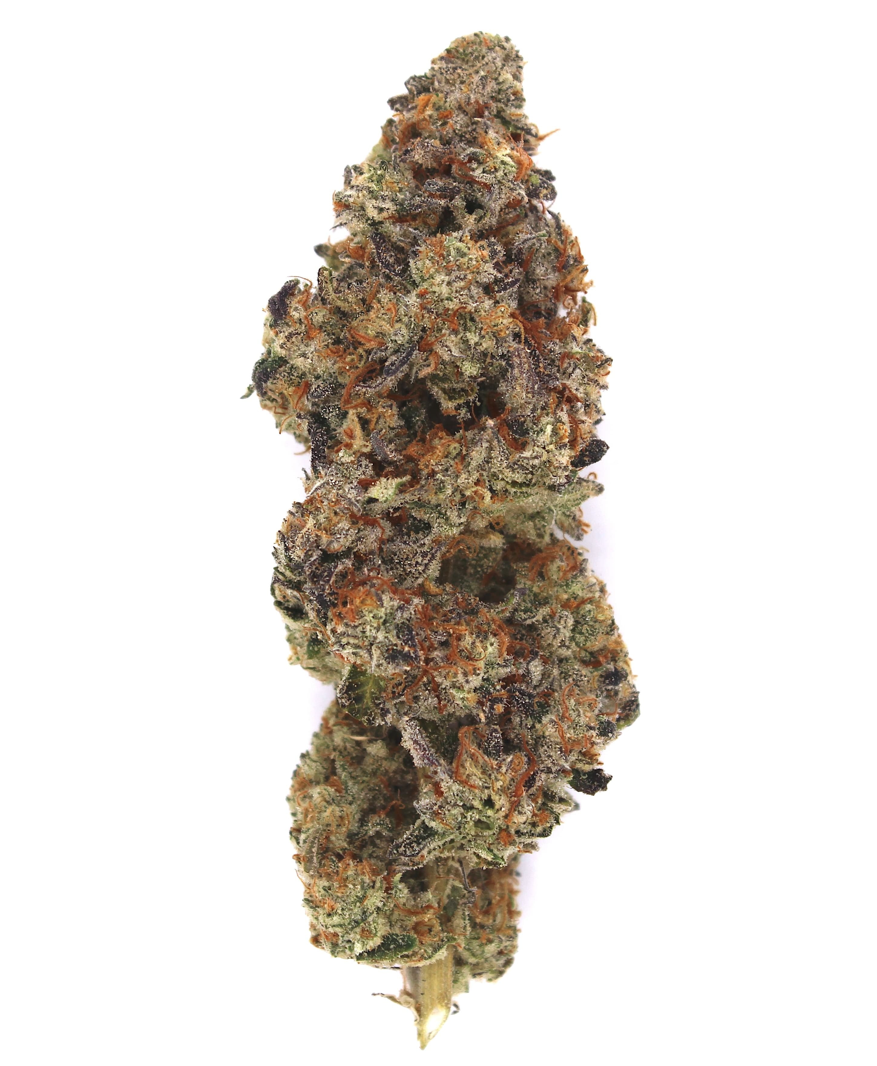 Indoor Flower — Jelly Breath